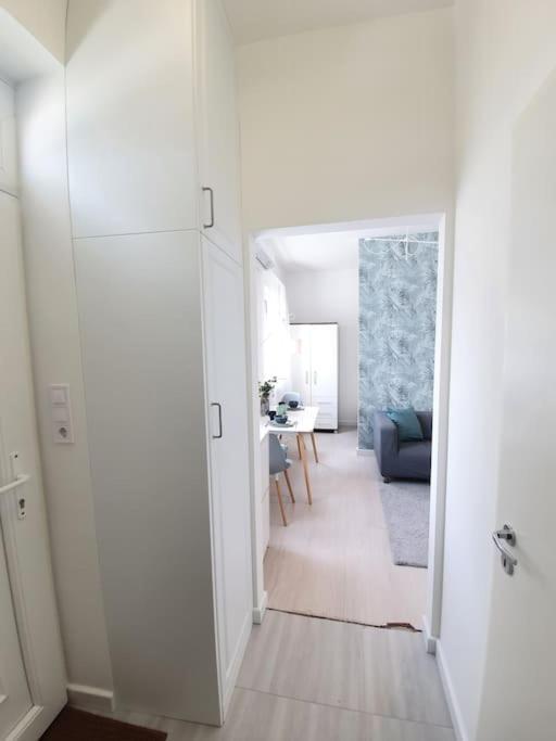 בודפשט Master Apartment With Air Condition And Separated Rooftop Terrace מראה חיצוני תמונה