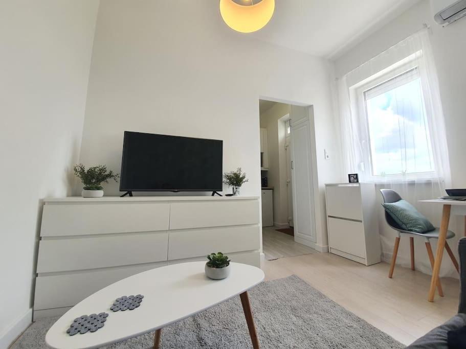 בודפשט Master Apartment With Air Condition And Separated Rooftop Terrace מראה חיצוני תמונה